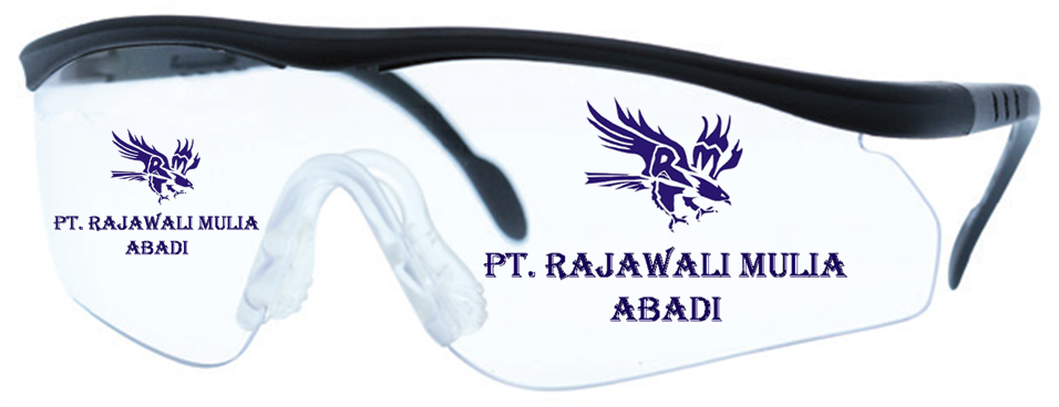 AS-ONE 1-6954-02 Safety Glasses, Model SS25921